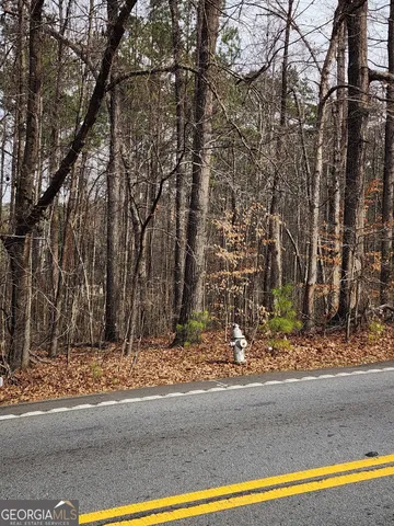 a view of a yard with large trees