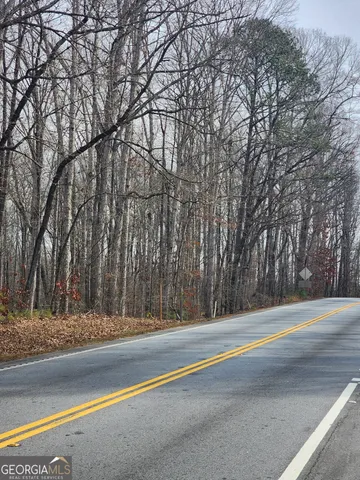 a view of a yard with a large trees