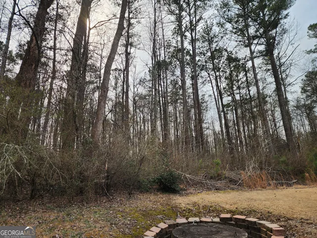 a backyard of a house with lots of green space