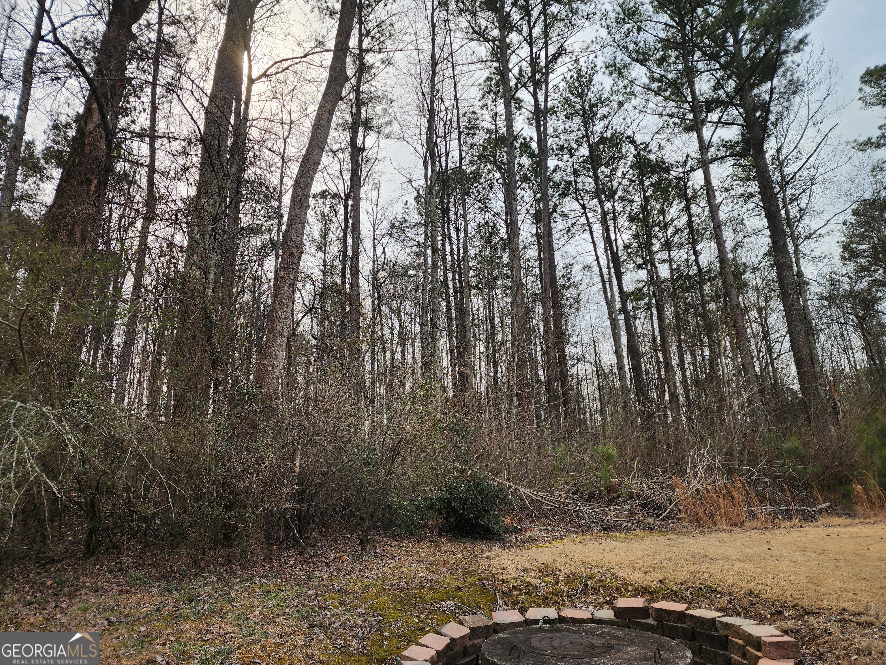 5624 Browns Mill Road Lithonia, GA 30038 - Photo 2 of 18 a backyard of a house with lots of green space