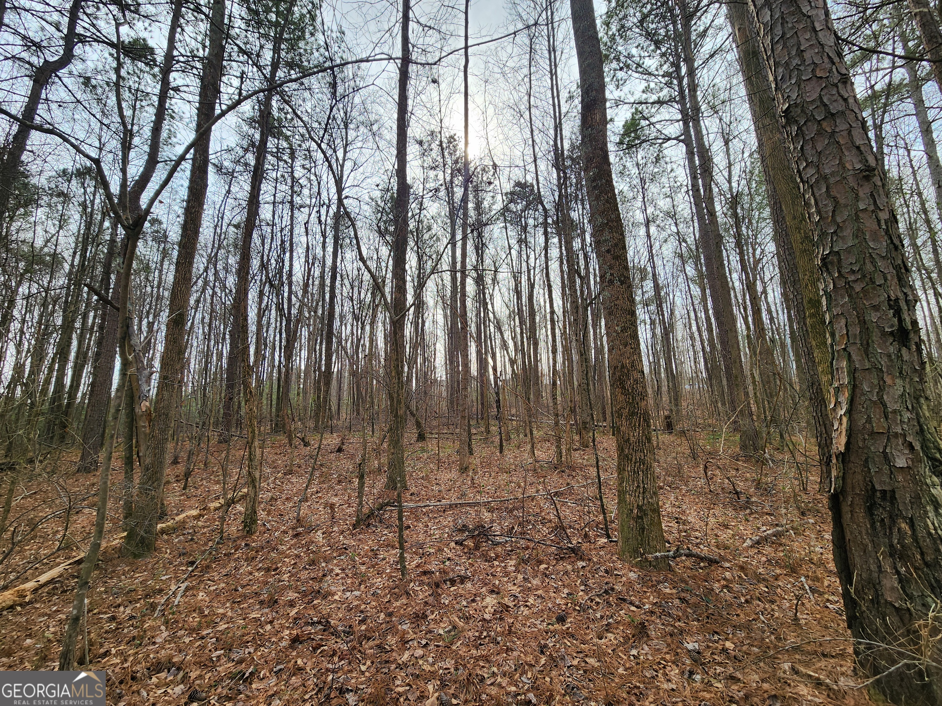 5624 Browns Mill Road Lithonia, GA 30038 - Photo 4 of 18 a view of backyard with green space