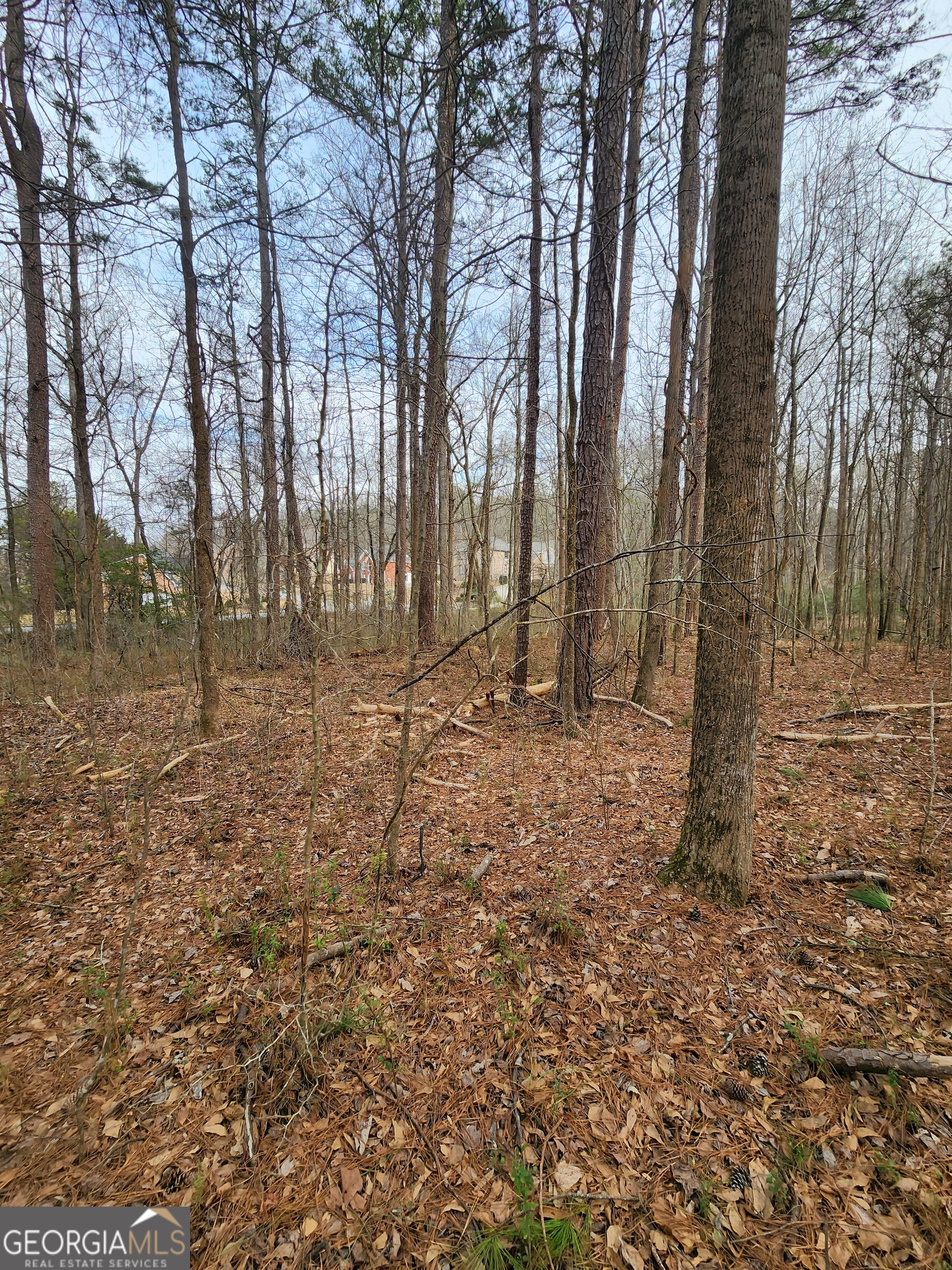 5624 Browns Mill Road Lithonia, GA 30038 - Photo 7 of 18 a view of backyard with trees