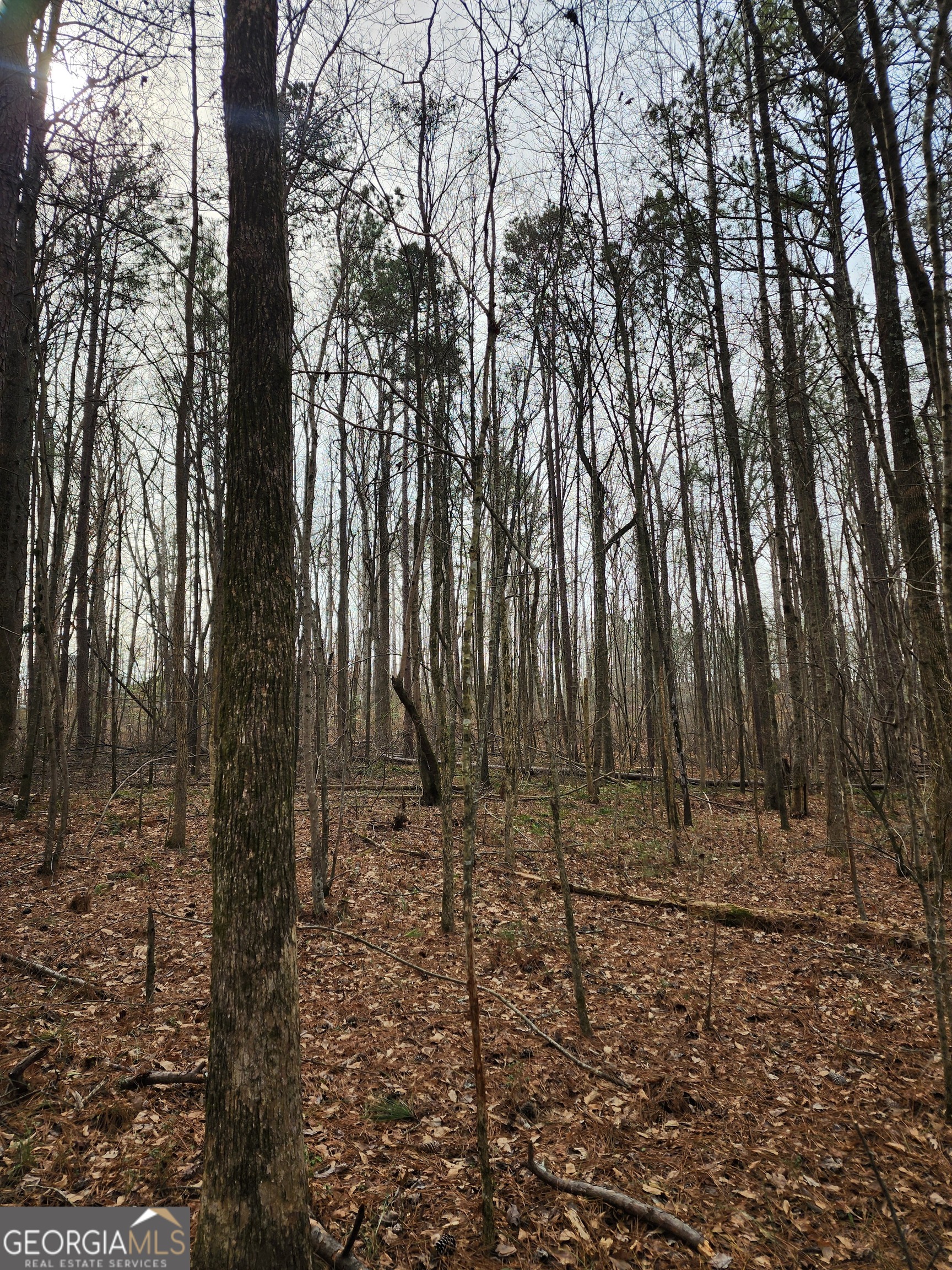 5624 Browns Mill Road Lithonia, GA 30038 - Photo 10 of 18 a view of a backyard