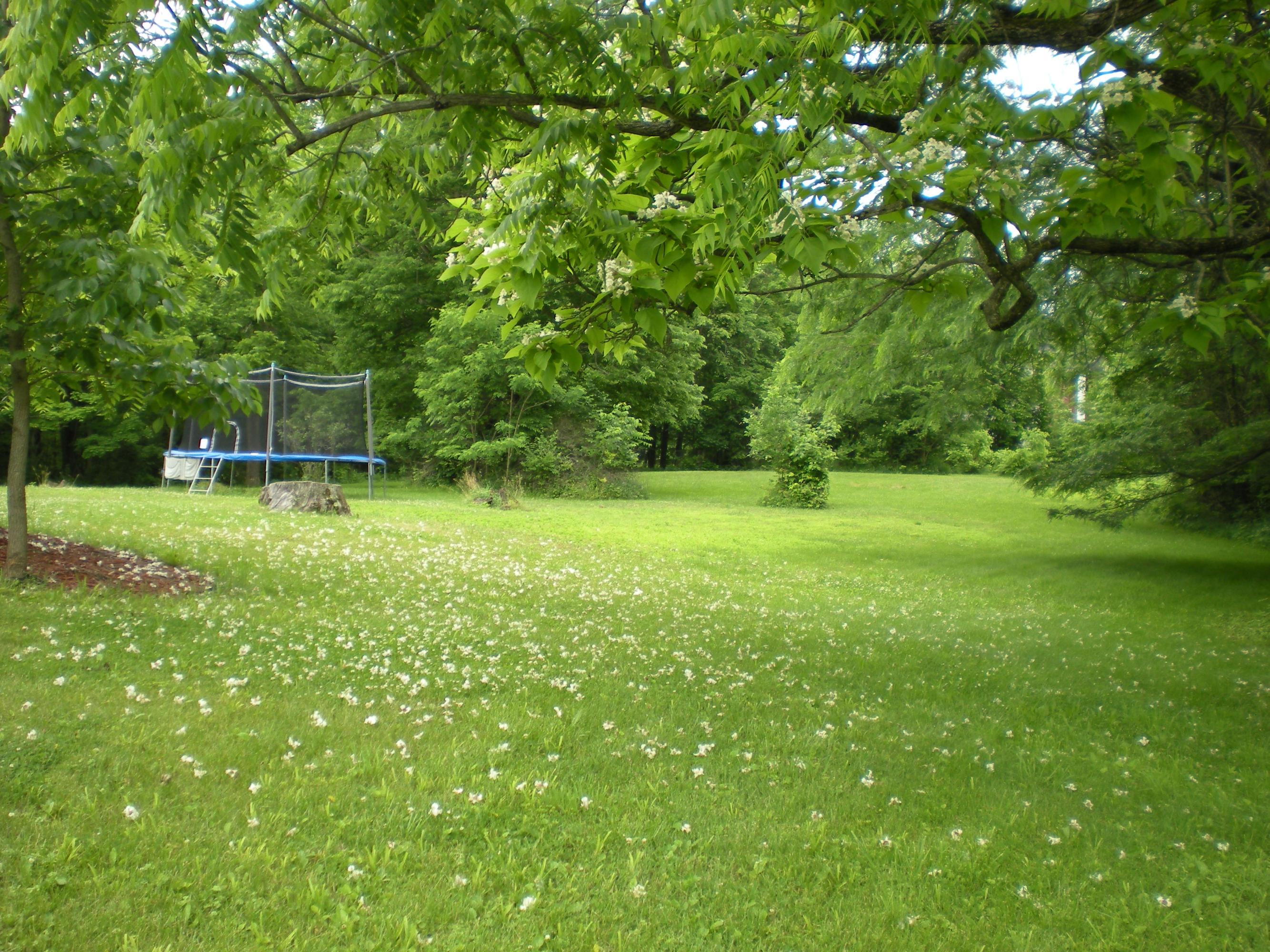 9580 Dublin Road Powell, OH 43065 - Photo 32 of 57