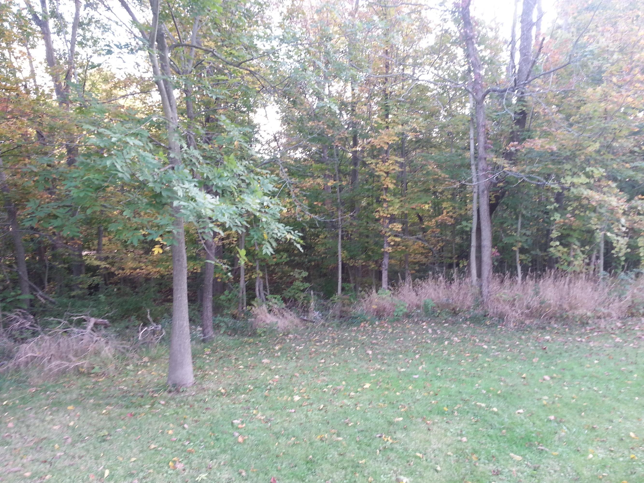 9580 Dublin Road Powell, OH 43065 - Photo 43 of 57