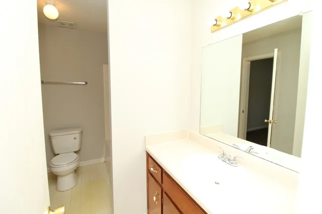a bathroom with a sink and a toilet