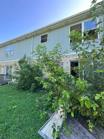 a house that has a lot of plants in it
