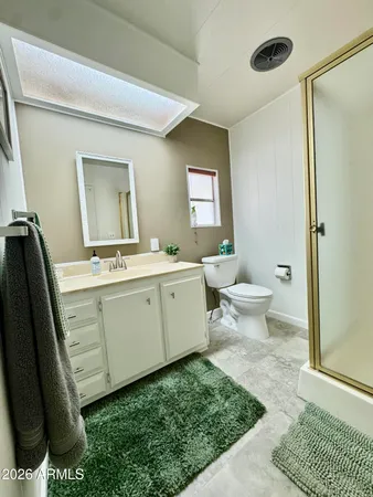 a bathroom with a sink a toilet and mirror