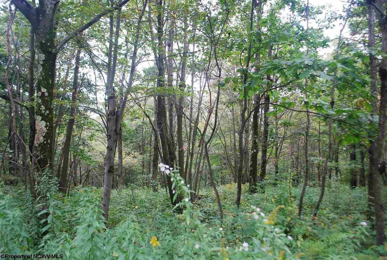 2 Cranesville Road Terra Alta, WV 26764 - Photo 19 of 19 Gallery Image 19