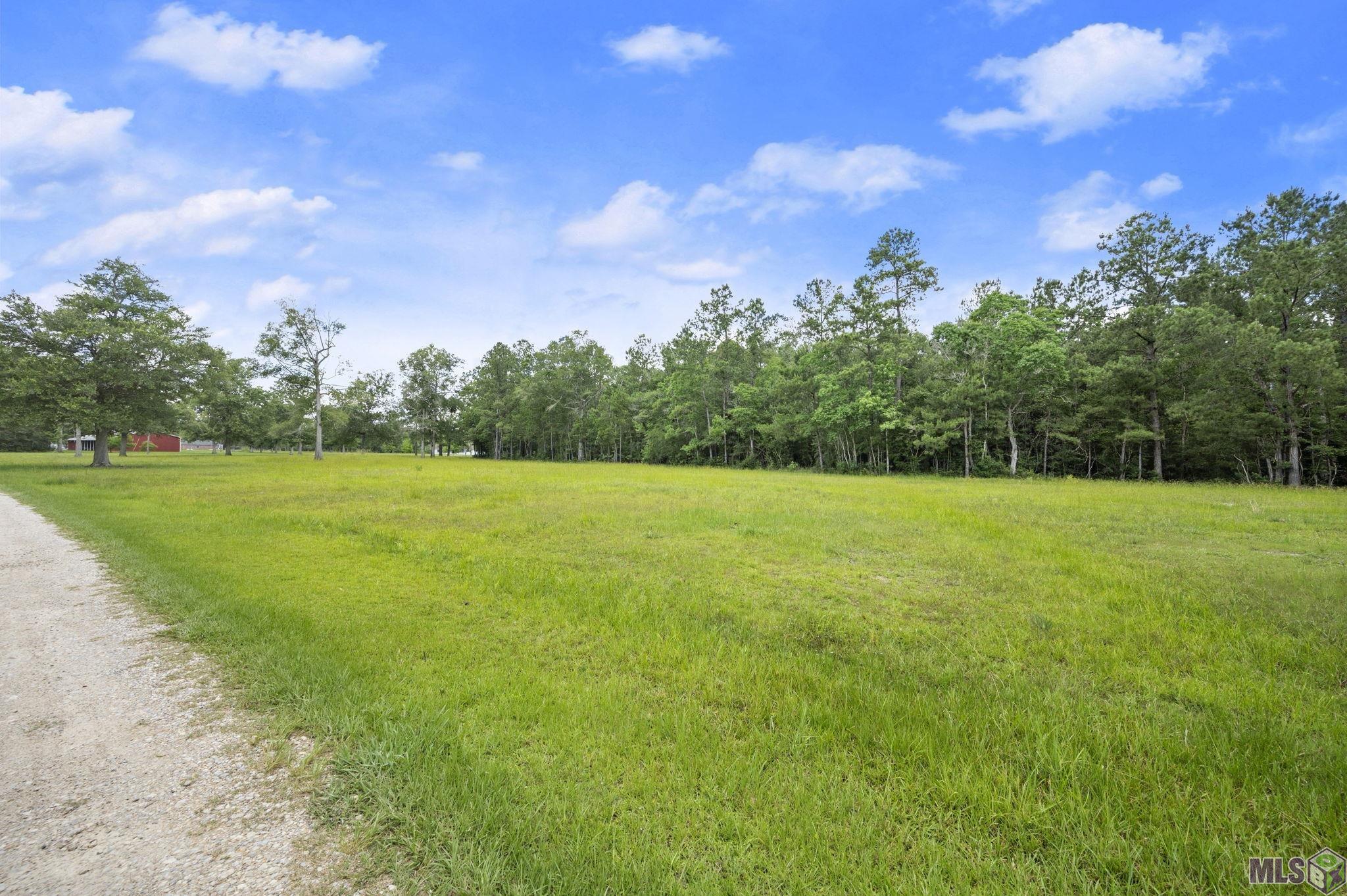 Tbd Hb-3 A Tbd Hb-3 A Bretz Road Springfield, LA 70462 - Photo 5 of 8