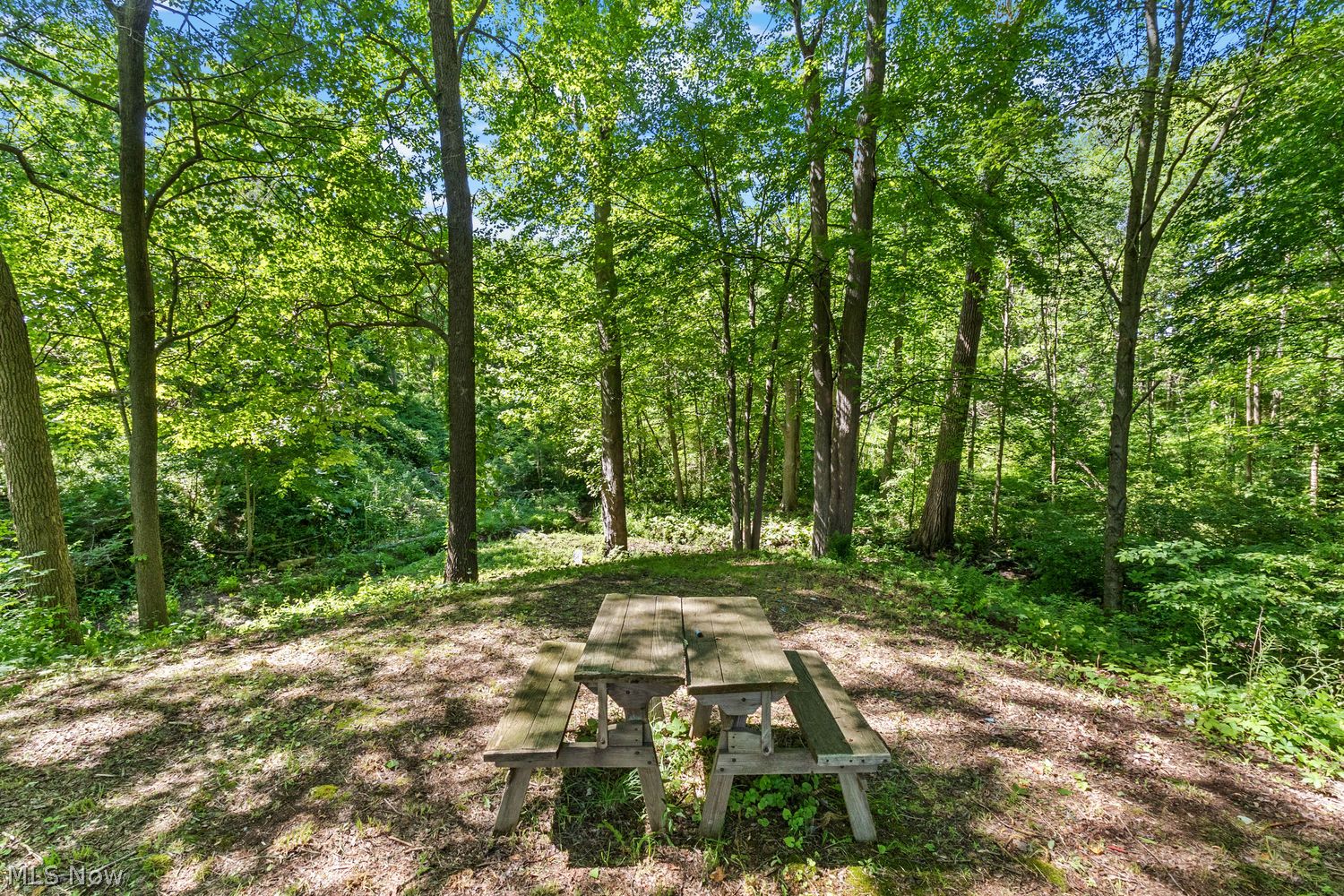 2272 McMackin Road Madison, OH 44057 - Photo 14 of 49