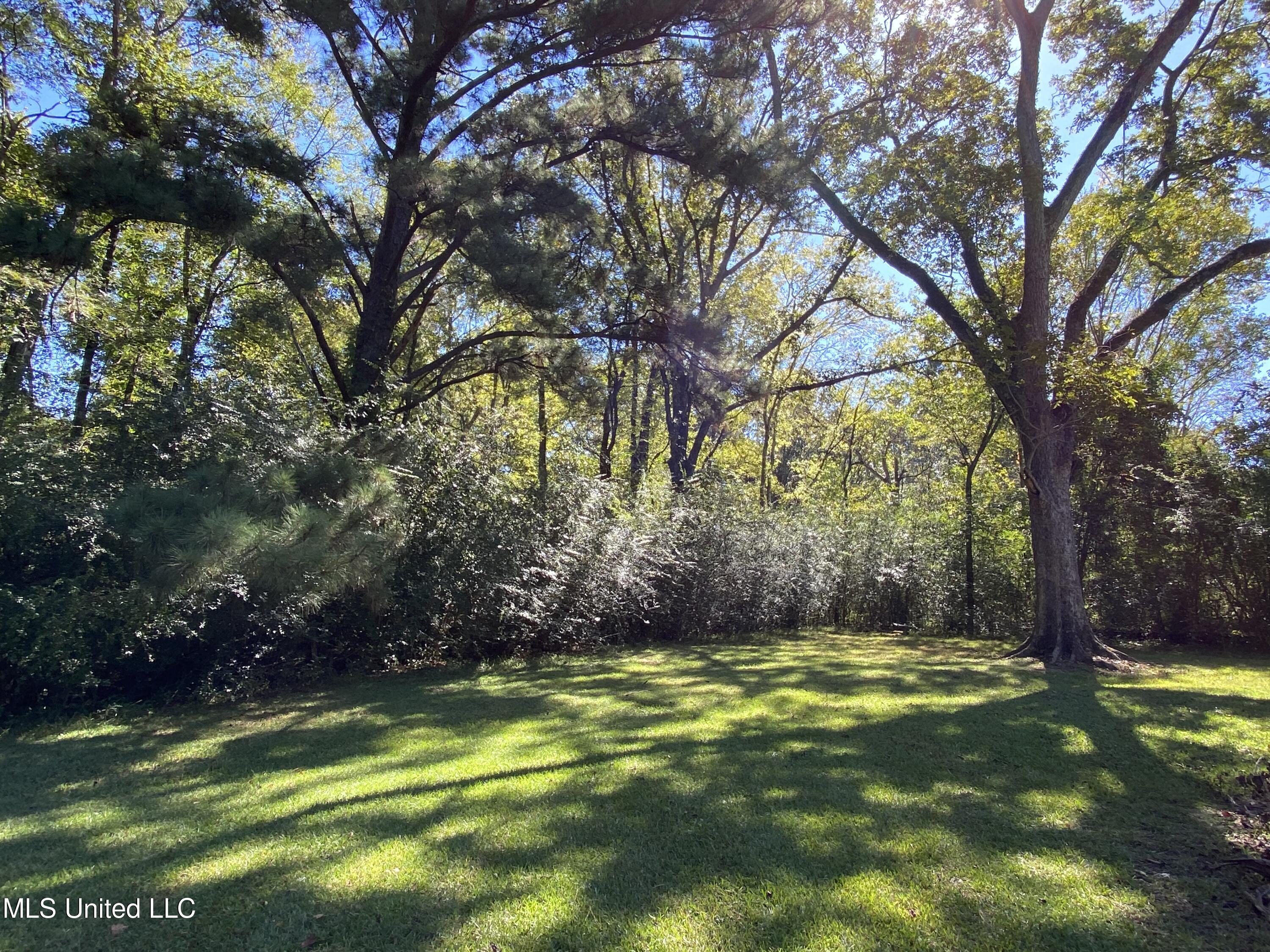 1054 Johnson Road Crystal Springs, MS 39059 - Photo 14 of 26 F2C623DB-BCC1-401A-82AE-E102825490DE