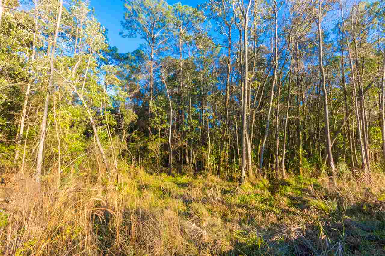 24570 Miflin Road Elberta, AL 36530 - Photo 7 of 15