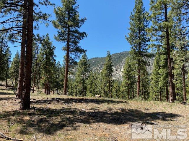 186 Walton Toll Road, Unit 194 Carson City, NV 89705 - Photo 1 of 29 Photo 1
