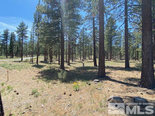 186 Walton Toll Road, Unit 194 Carson City, NV 89705 - Photo 2 of 29 Photo 2