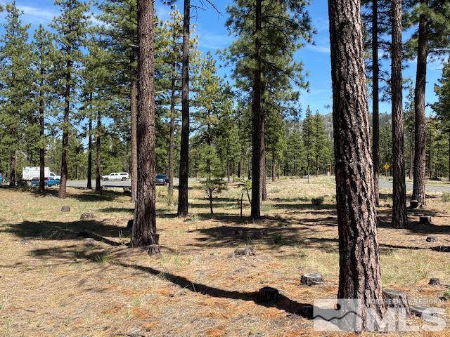 186 Walton Toll Road, Unit 194 Carson City, NV 89705 - Photo 3 of 29 Photo 3