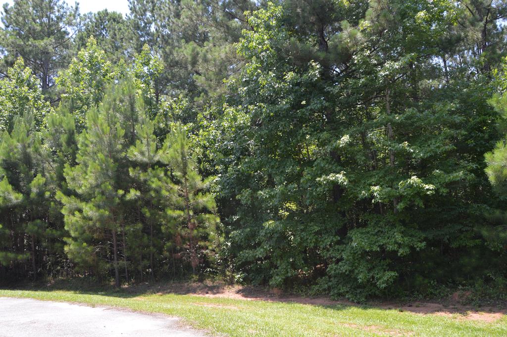 128 Ranch Court Greenwood, SC 29646 - Photo 1 of 1 Gallery Image 1