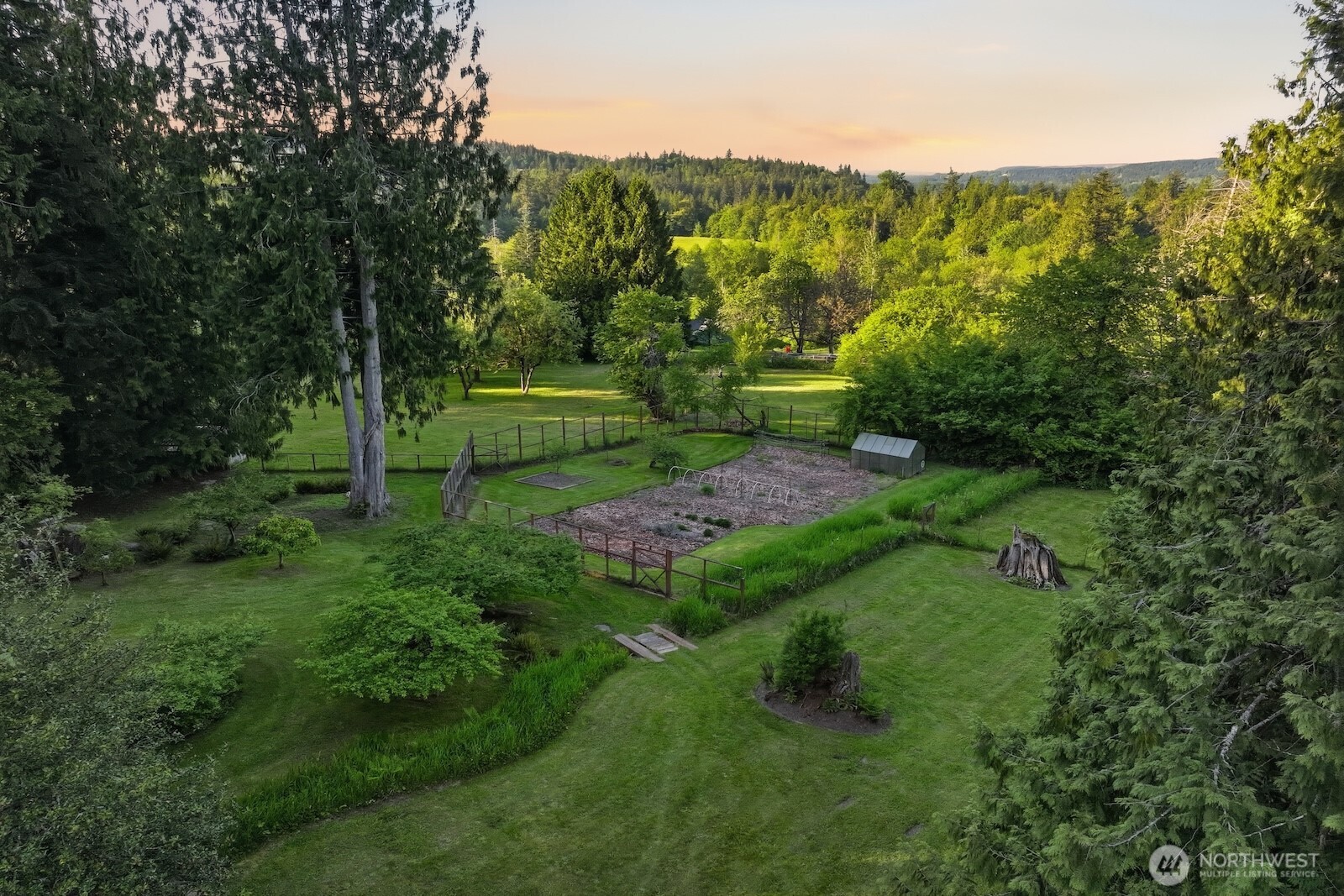30130 Southeast Issaquah-Fall City Road Fall City, WA 98024 - Photo 3 of 39 a view of a lush green forest with lots of trees