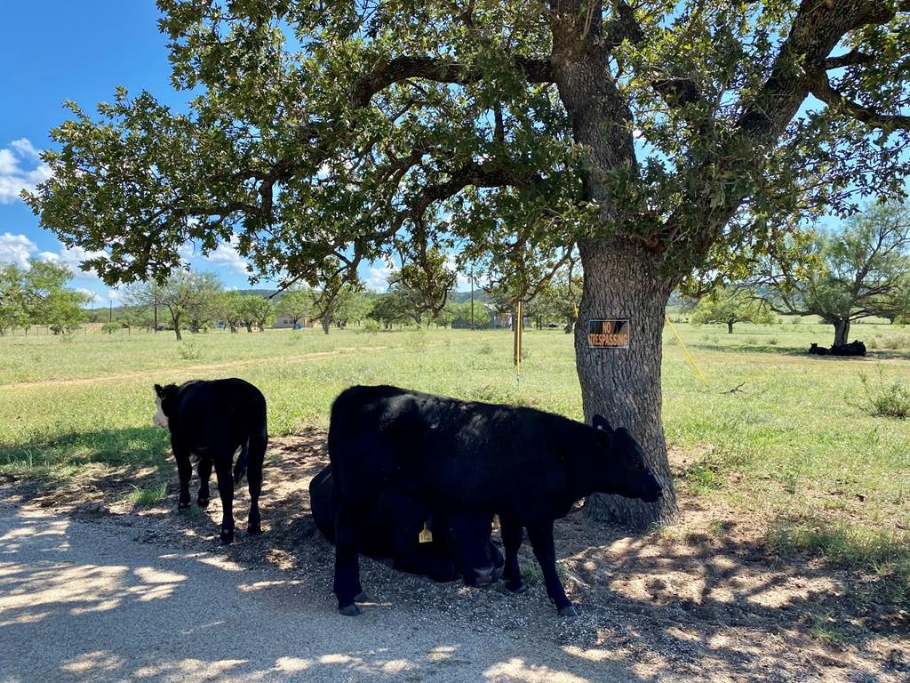 19 Jack Rabbit Road, Unit 19 Doss, TX 78618 - Photo 18 of 25