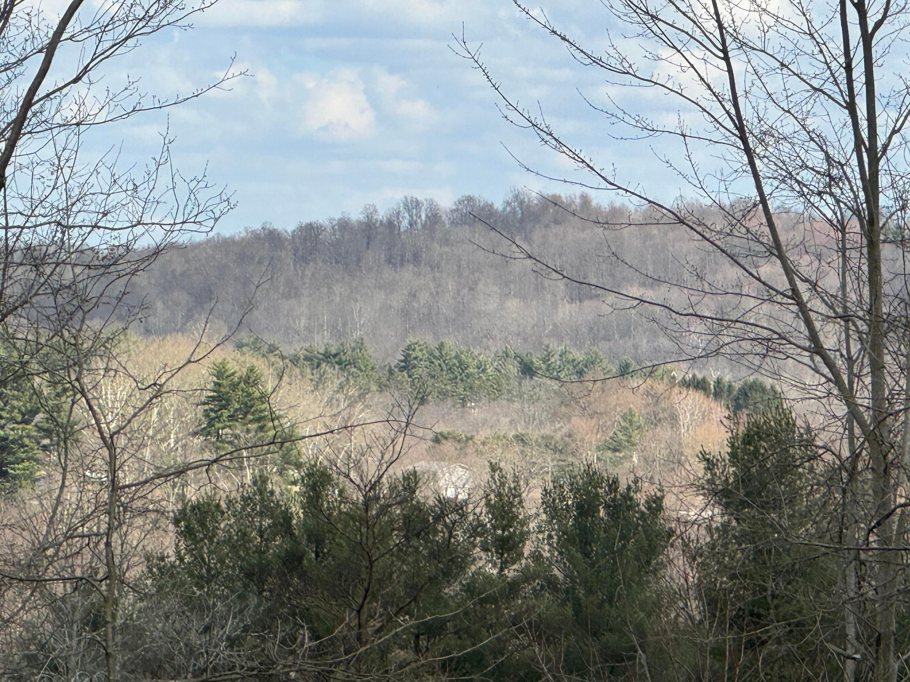 0 Flint Ridge Road Northeast, Unit INT RIDGE TRACT 22 ACRE) Crooksville, OH 43731 - Photo 17 of 48 17