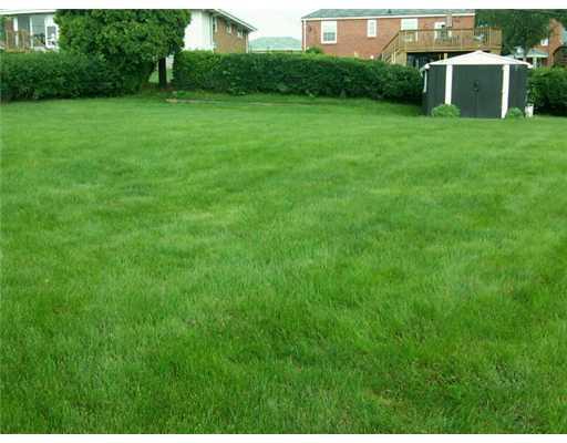 1210 Akehurst Road Green Tree, PA 15220 - Photo 3 of 17 Yard/Garden.