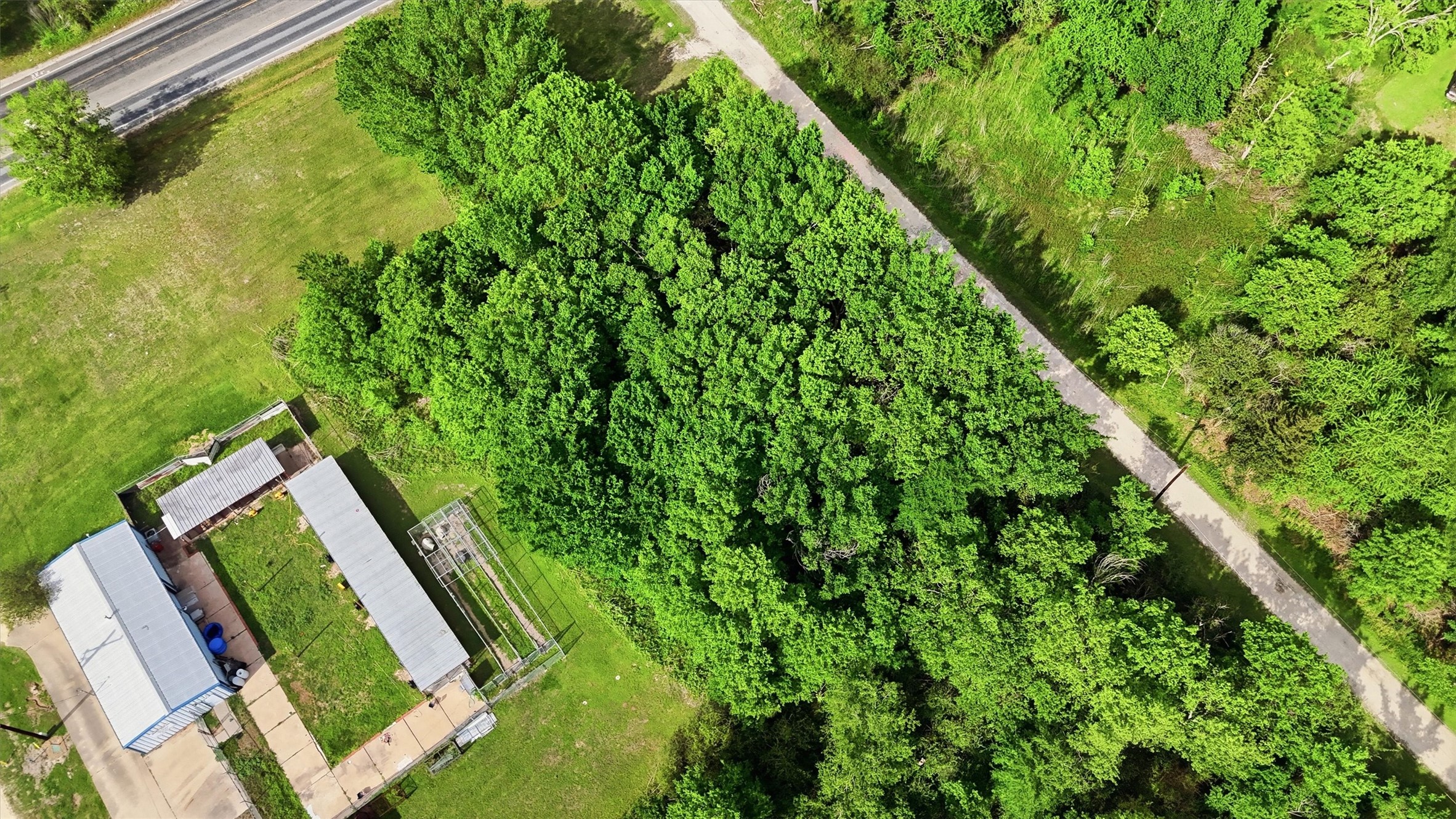 515 Off Spur Navasota, TX 77868 - Photo 11 of 13 a view of a yard
