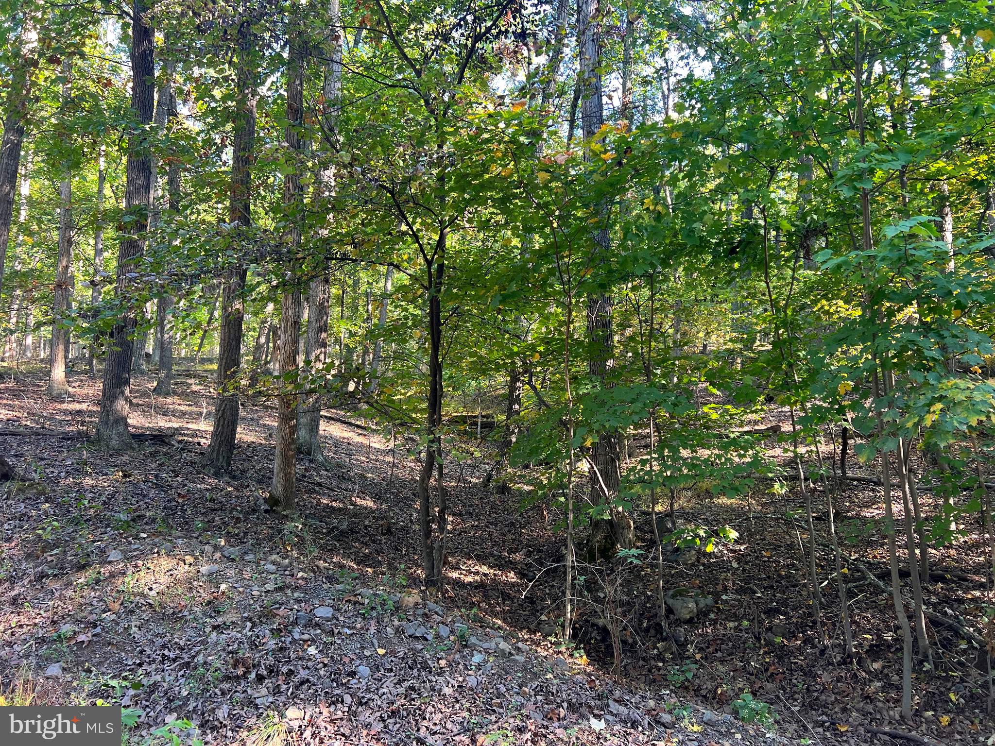 1604 High Knob Road Old Fields, WV 26845 - Photo 105 of 113