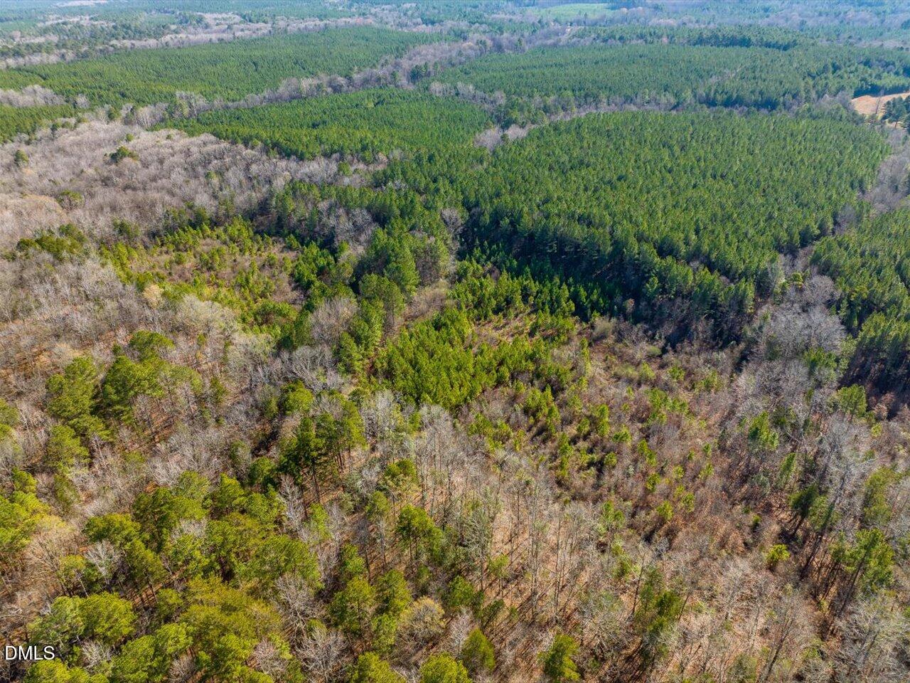 786 Horton Road Goldston, NC 27252 - Photo 8 of 15 06-006-Horton-Rd-Chatham-Parcel-10106-20