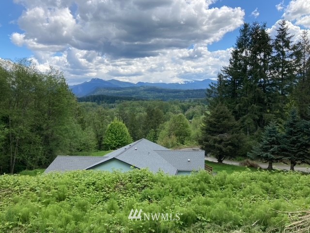 176 Boyd Road Randle, WA 98377 - Photo 5 of 25 a backyard of a house with lots of green space