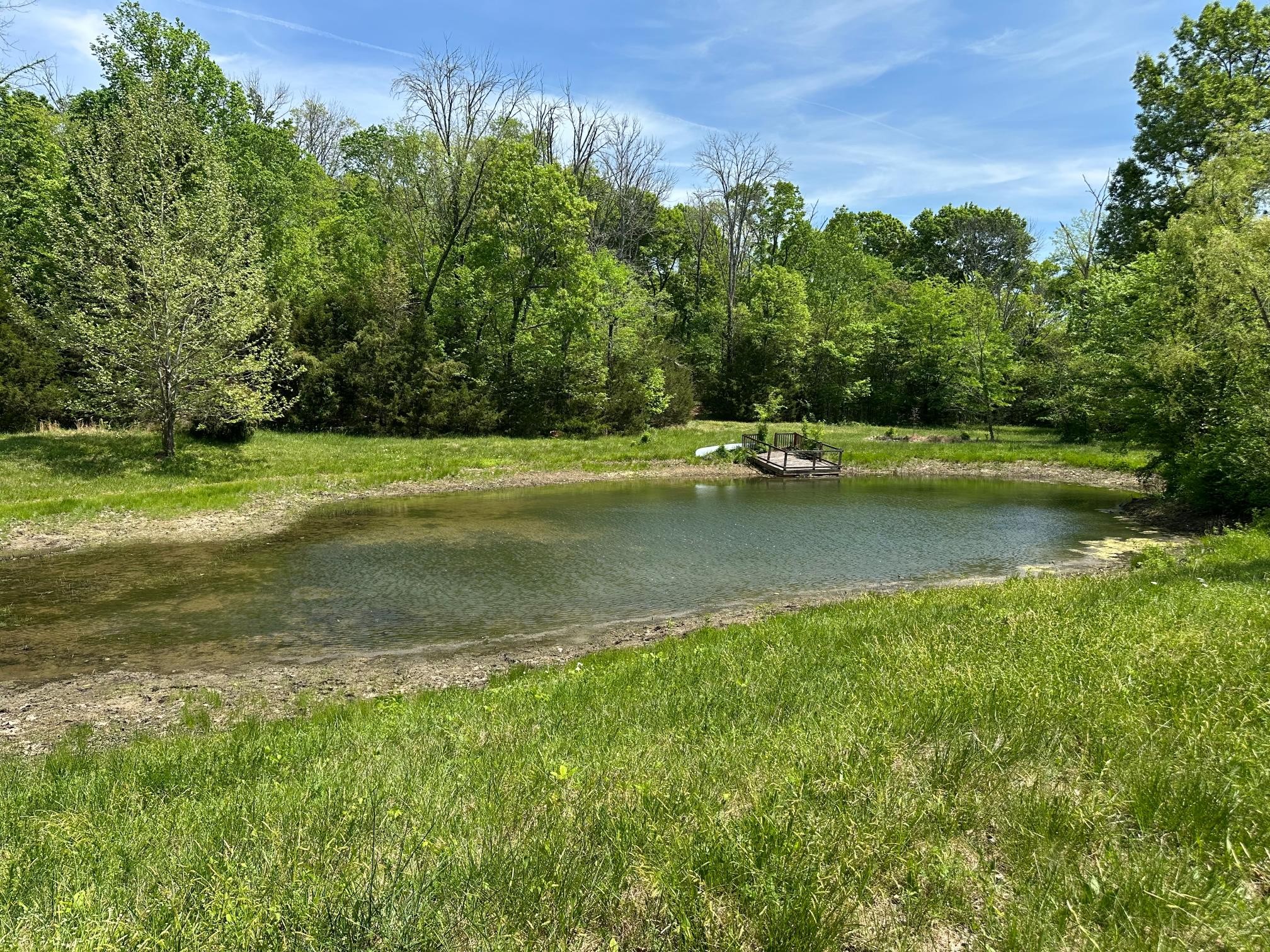 10515 Paw Paw Springs Road Arrington, TN 37014 - Photo 3 of 13 a view of a water pond with green yard