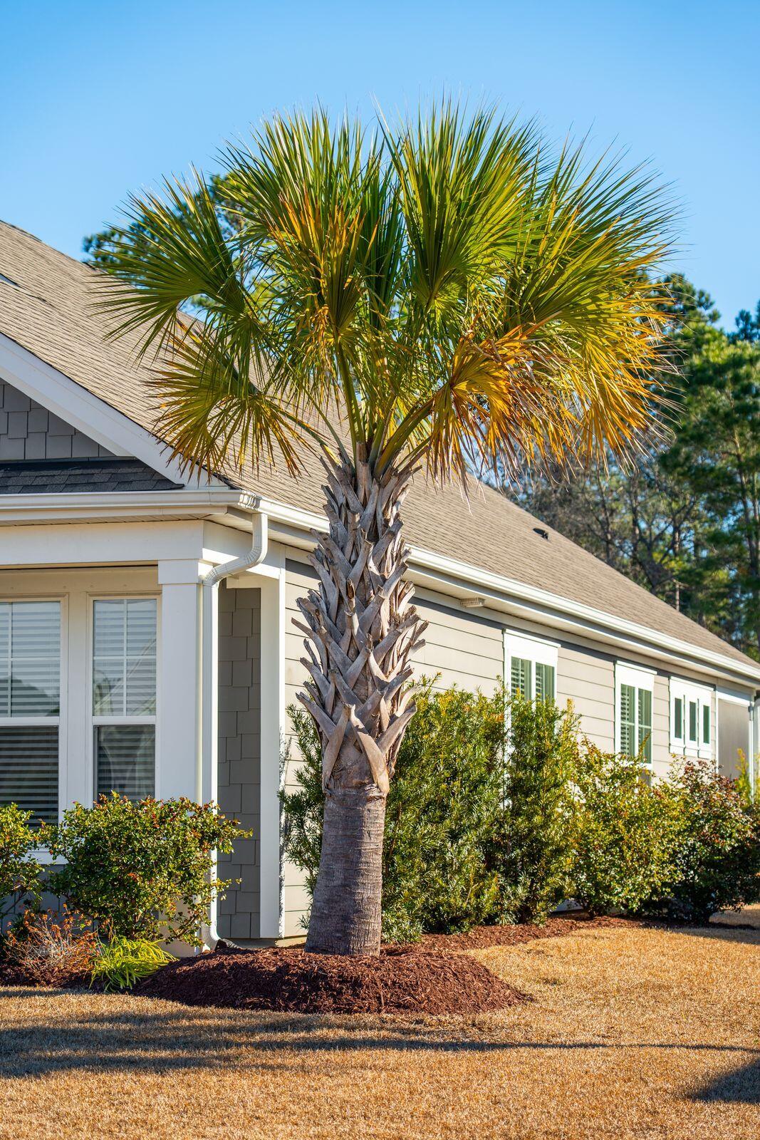 673 Pontoon Road Huger, SC 29450 - Photo 6 of 94 673 Pontoon-KeenEye-004