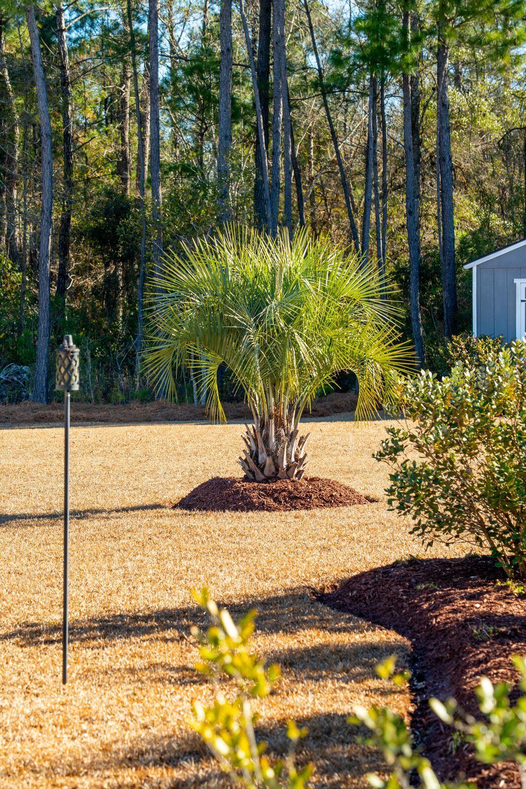 673 Pontoon Road Huger, SC 29450 - Photo 68 of 94 673 Pontoon-KeenEye-065