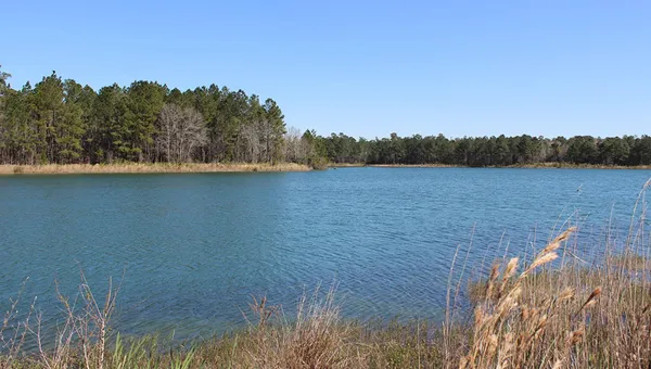 $759,900 | 673 Pontoon Road, Huger, SC 29450