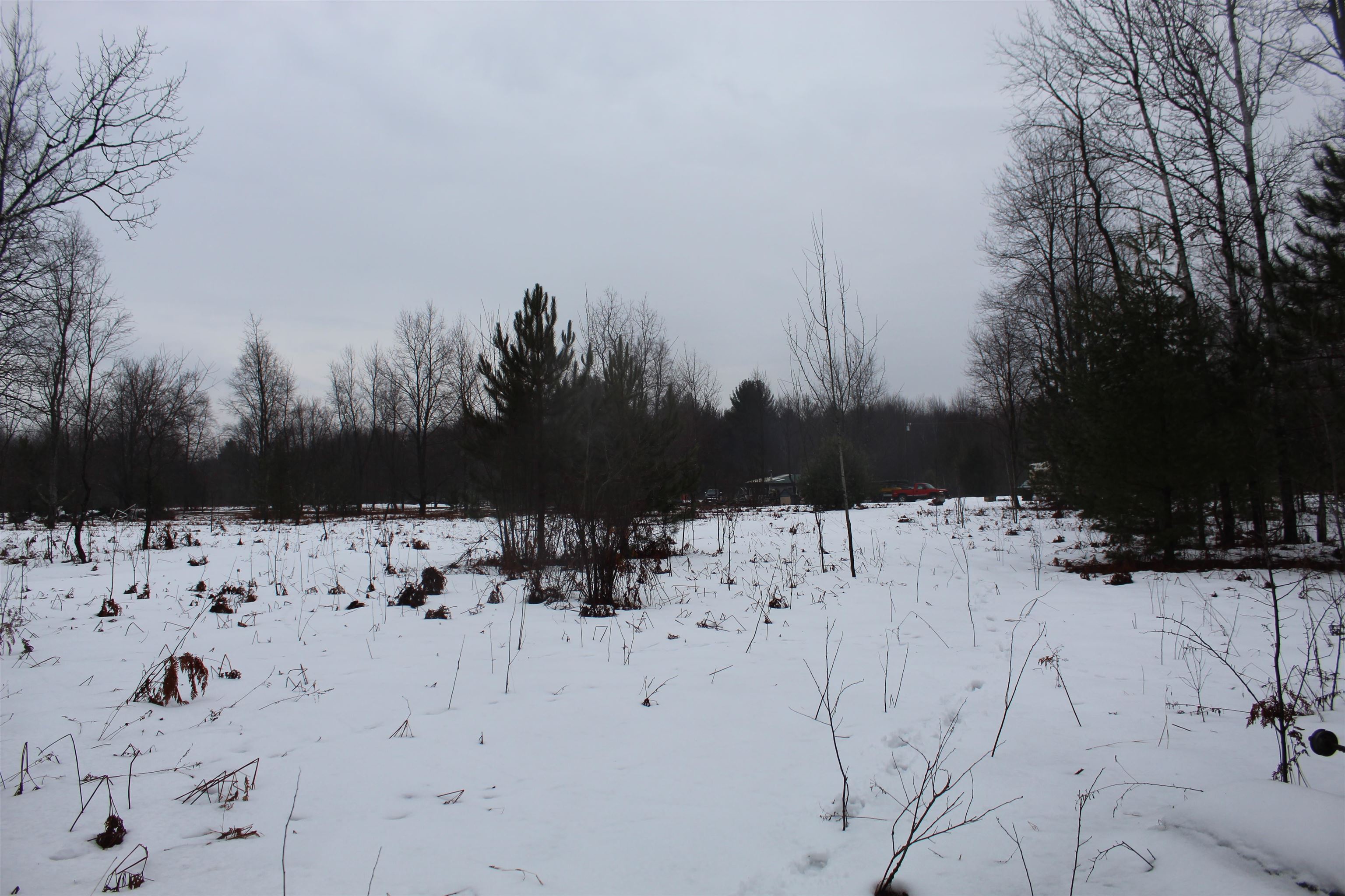 15906 Lindy Road Thompsonville, MI 49683 - Photo 3 of 13 1929899-23bf2912-703d-466e-9258-e4015ffd5830.JPG