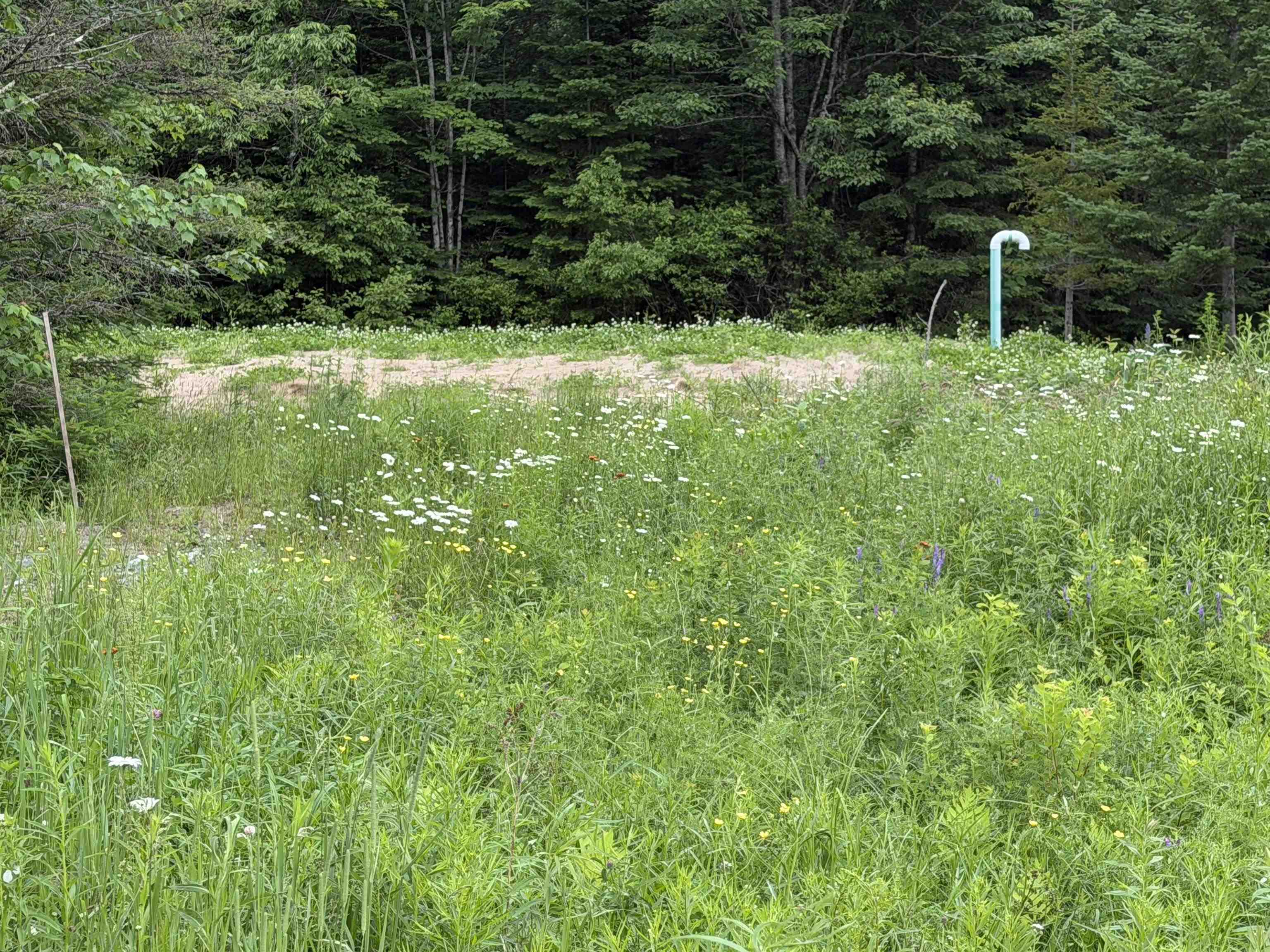 153 Garland Road Lancaster, NH 03584 - Photo 11 of 28 Gallery Image 11