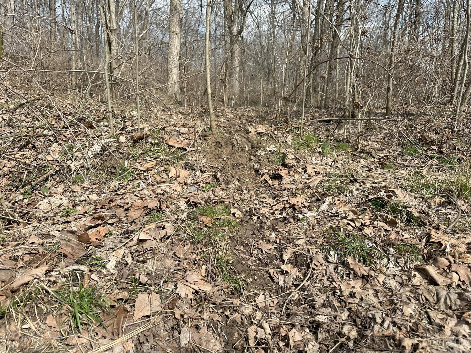 0 Wilson Road Winchester, OH 45697 - Photo 35 of 69