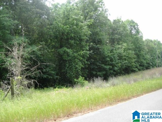 0 Sulphur Springs Road, Unit 10 ACRES Lincoln, AL 35096 - Photo 2 of 32