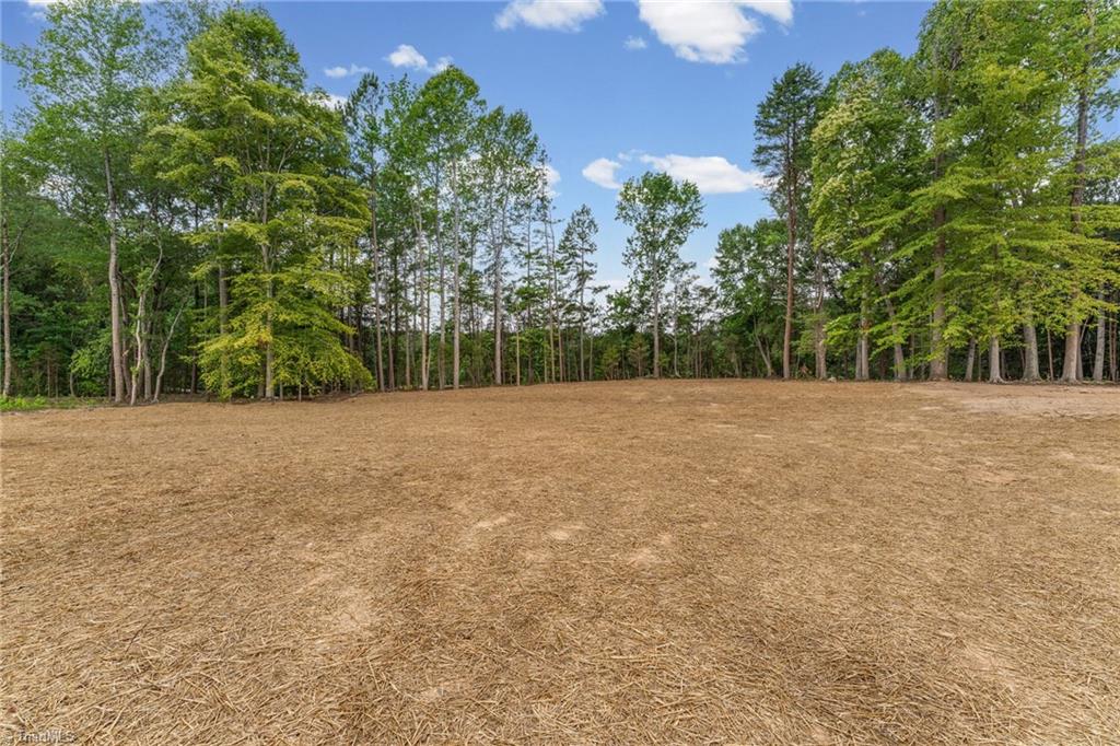 6815 Ridge Road Lexington, NC 27295 - Photo 45 of 49