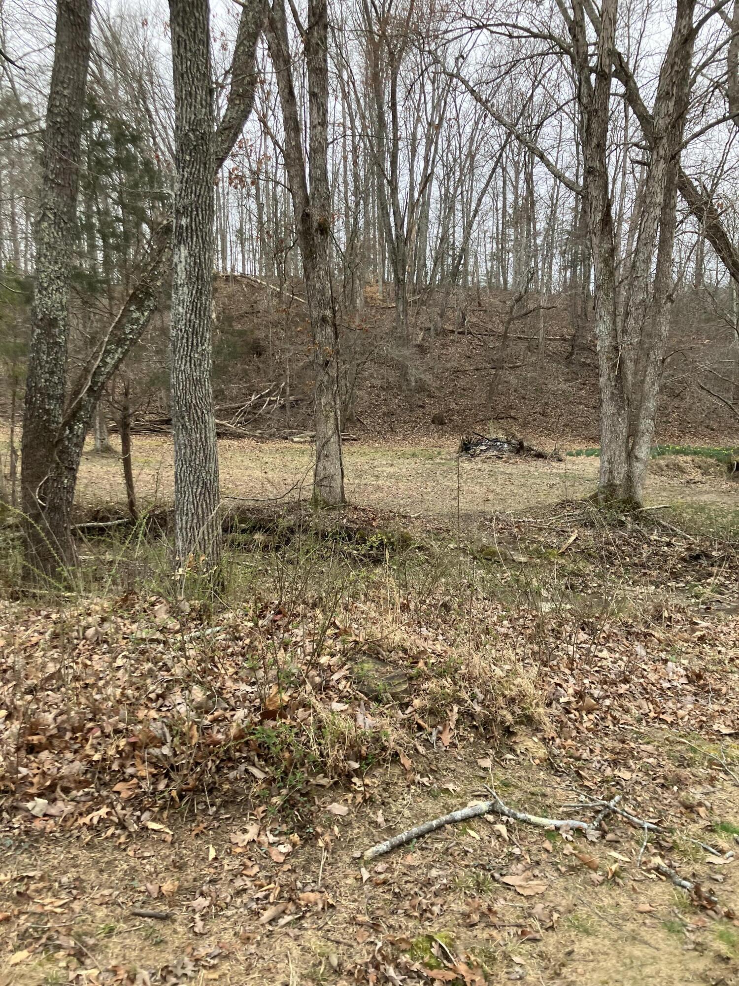 700 Butler Road Owingsville, KY 40360 - Photo 2 of 18 47A22B97-119B-4FAB-B372-55D1A8AF1E2B
