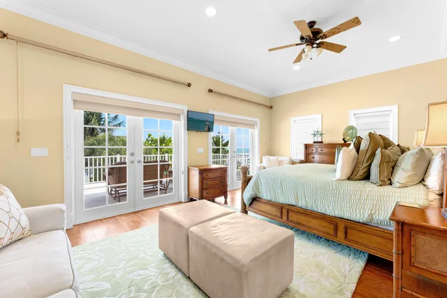 a view of a yard with a palm trees