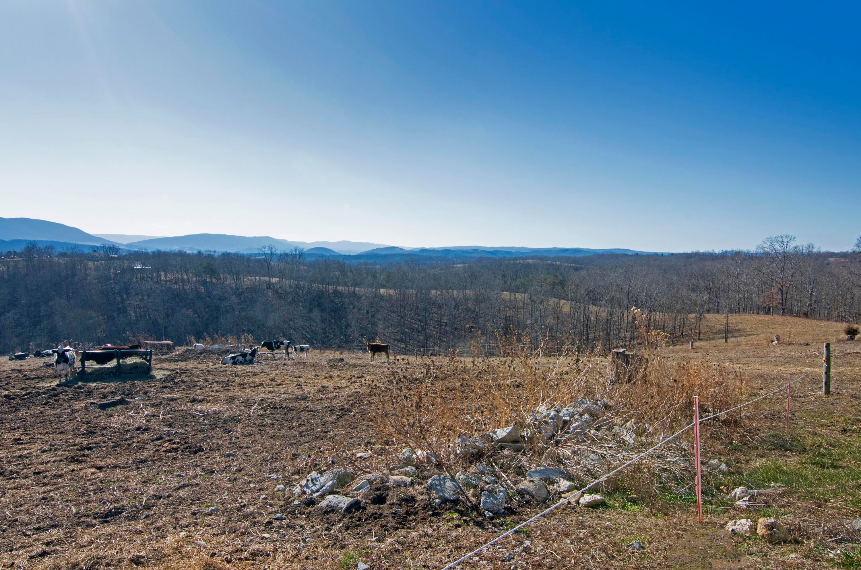 656 Miller Farm Road Peterstown, WV 24963 - Photo 131 of 156 Miller Farm Rd