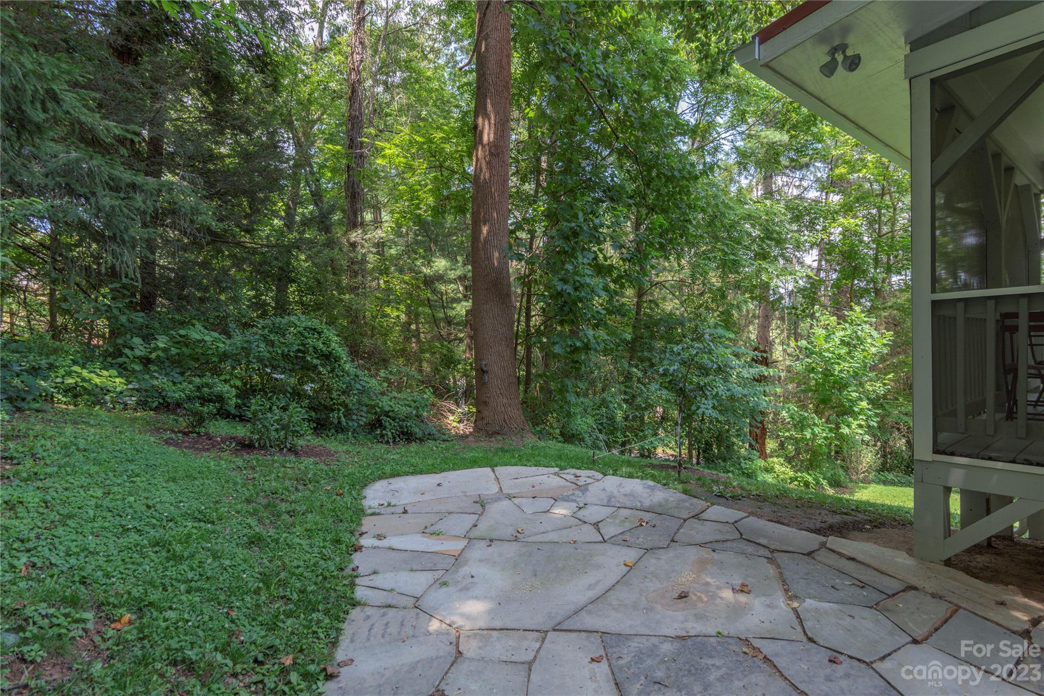 6 Cambridge Road Asheville, NC 28804 - Photo 27 of 35 a view of a back yard