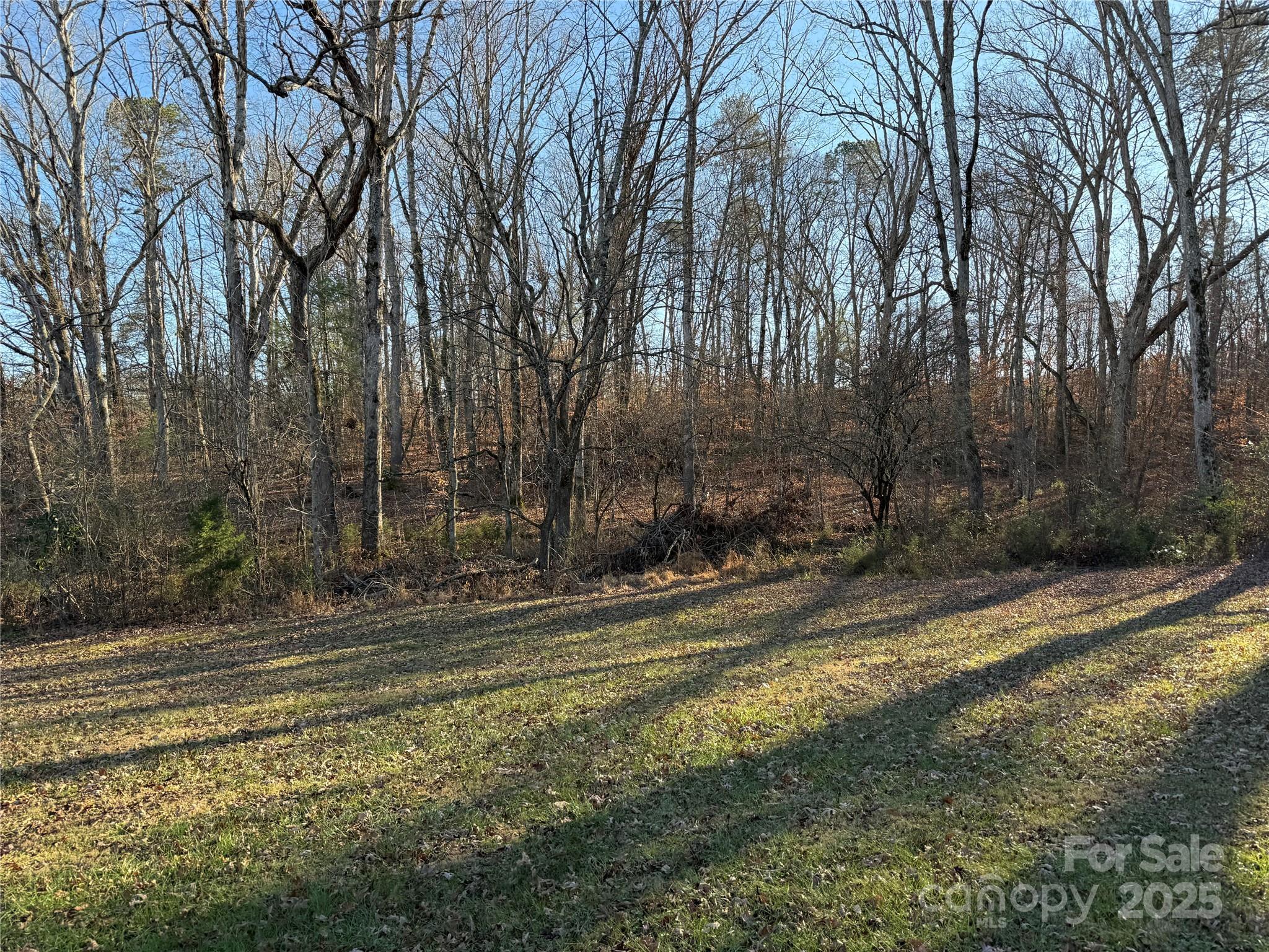 6496 Highway 221 Marion, NC 28752 - Photo 14 of 22