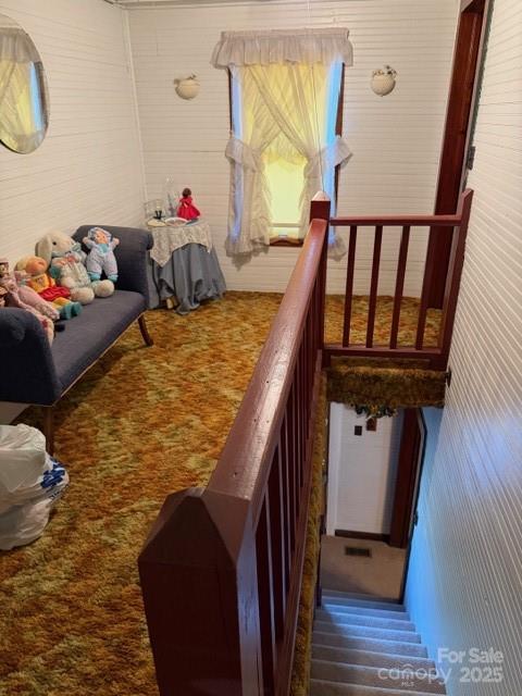 6496 Highway 221 Marion, NC 28752 - Photo 10 of 22