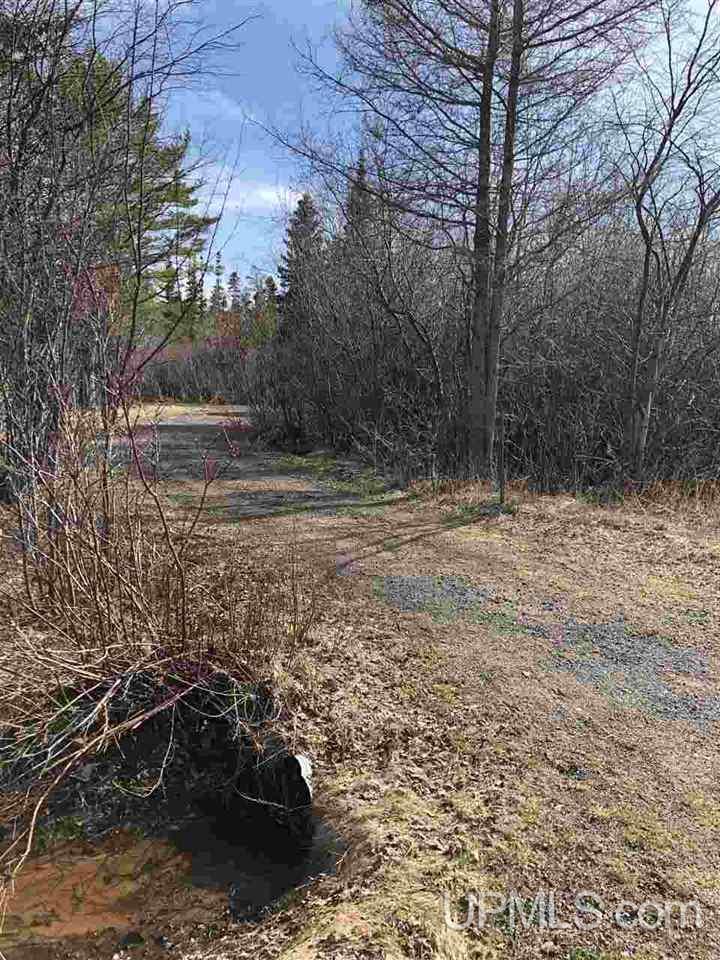 Tbd Pine Street Mohawk, MI 49950 - Photo 3 of 13