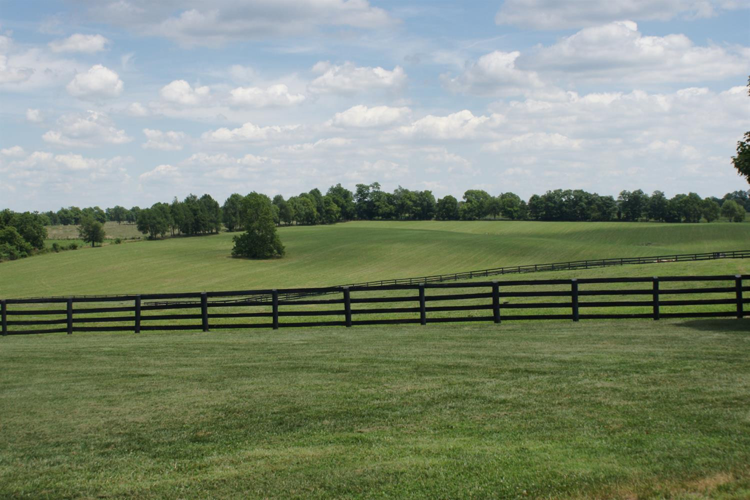 4190 McCowans Ferry Road Versailles, KY 40383 - Photo 48 of 50 Photo 48