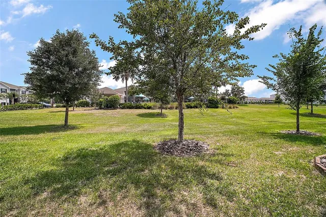 a view of a trees with a park