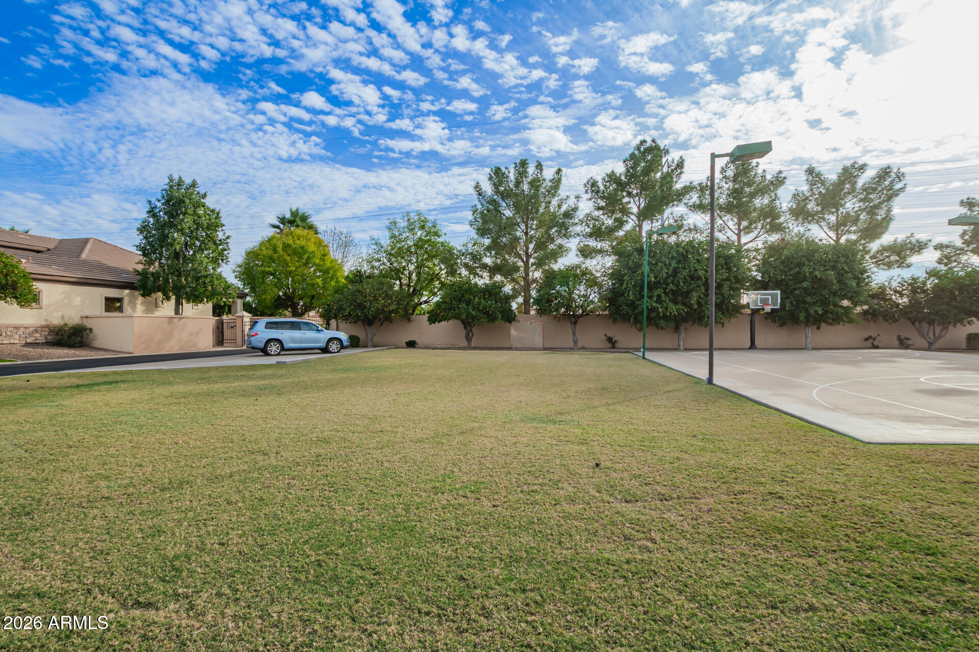3528 East Decatur Street Mesa, AZ 85213 - Photo 50 of 55 a view of a field with trees in the background