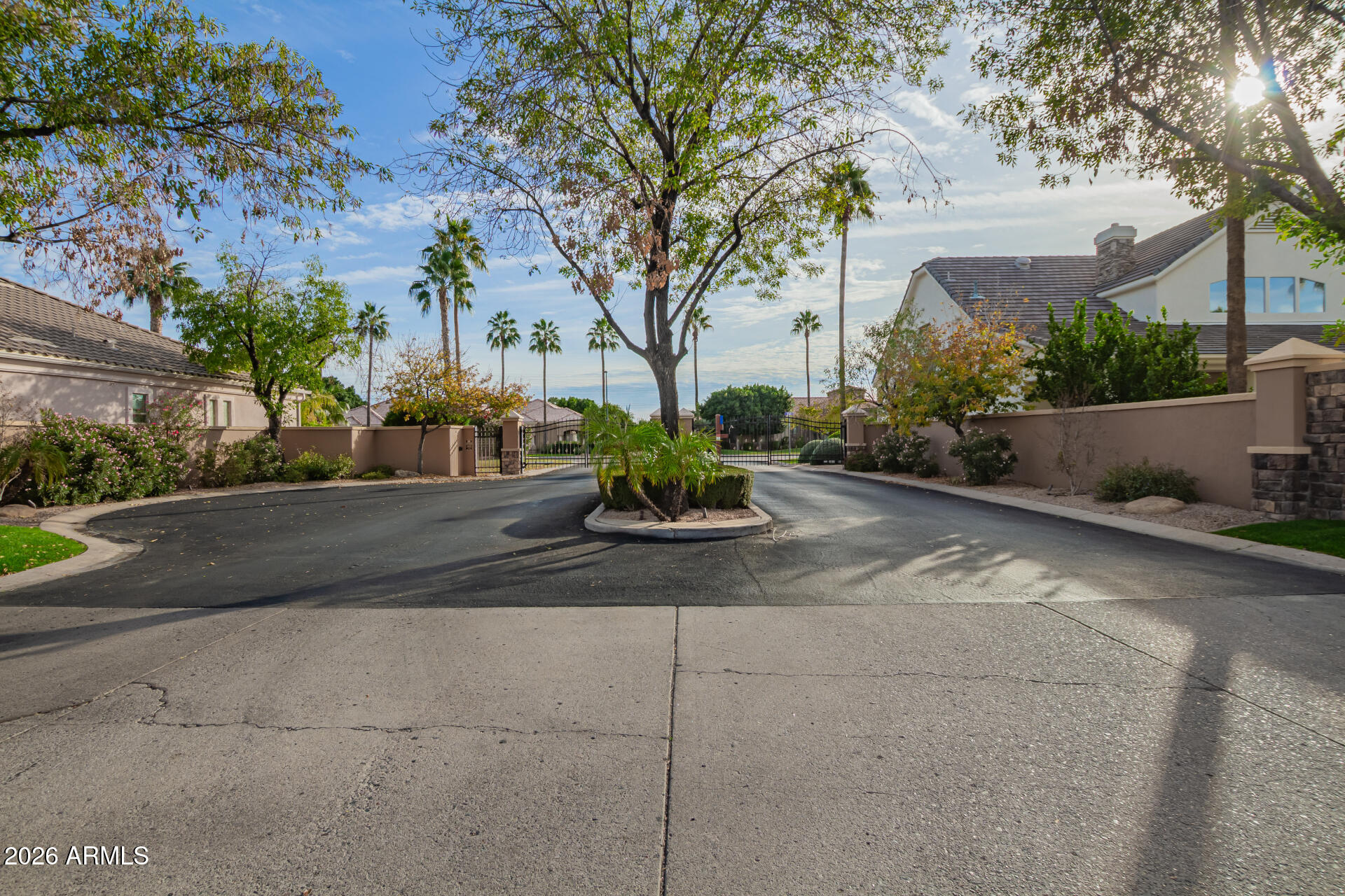 3528 East Decatur Street Mesa, AZ 85213 - Photo 51 of 55 a view of street with flower plants