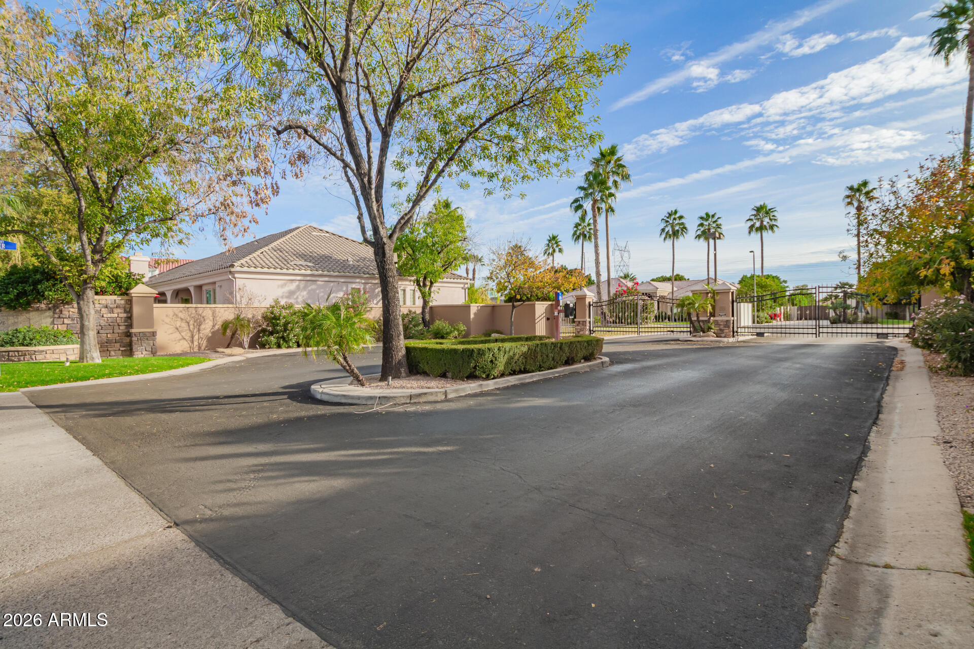 3528 East Decatur Street Mesa, AZ 85213 - Photo 54 of 55 a view of a street with a houses